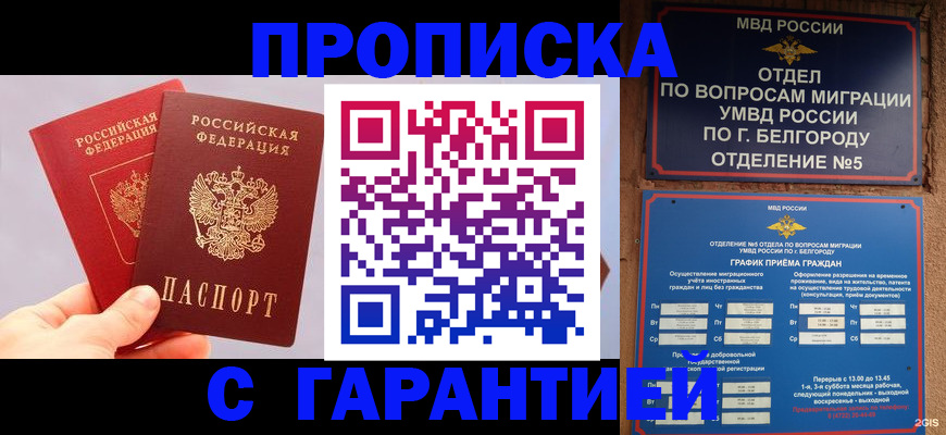 прописка 2025 в Плавске